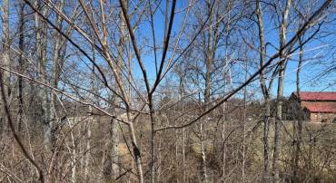 0 COLONEL JAMESON BLVD, CULPEPER, Virginia 22701, ,Land,For sale,0 COLONEL JAMESON BLVD,VACU2012904 MLS # VACU2012904