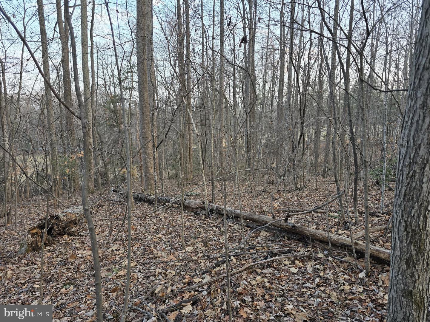 TM# 42-5 THOROUGHFARE RD, CULPEPER, Virginia 22701, ,Land,For sale,TM# 42-5 THOROUGHFARE RD,VAMA2002632 MLS # VAMA2002632