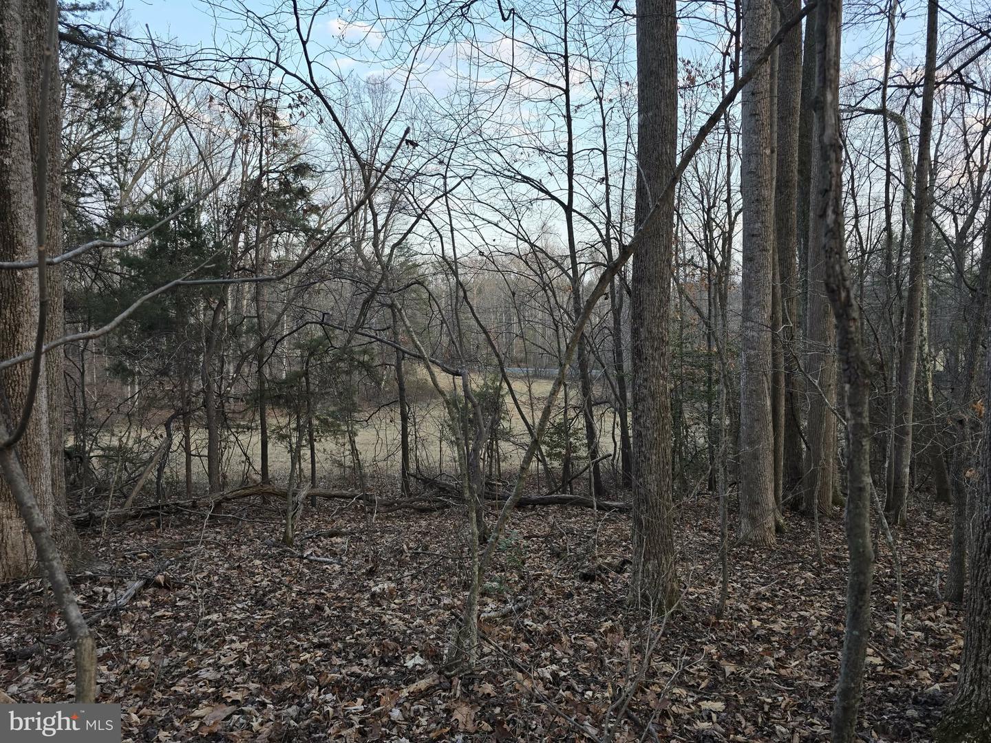 TM# 42-5 THOROUGHFARE RD, CULPEPER, Virginia 22701, ,Land,For sale,TM# 42-5 THOROUGHFARE RD,VAMA2002632 MLS # VAMA2002632