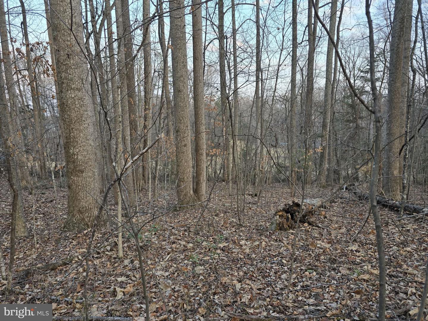 TM# 42-5 THOROUGHFARE RD, CULPEPER, Virginia 22701, ,Land,For sale,TM# 42-5 THOROUGHFARE RD,VAMA2002632 MLS # VAMA2002632