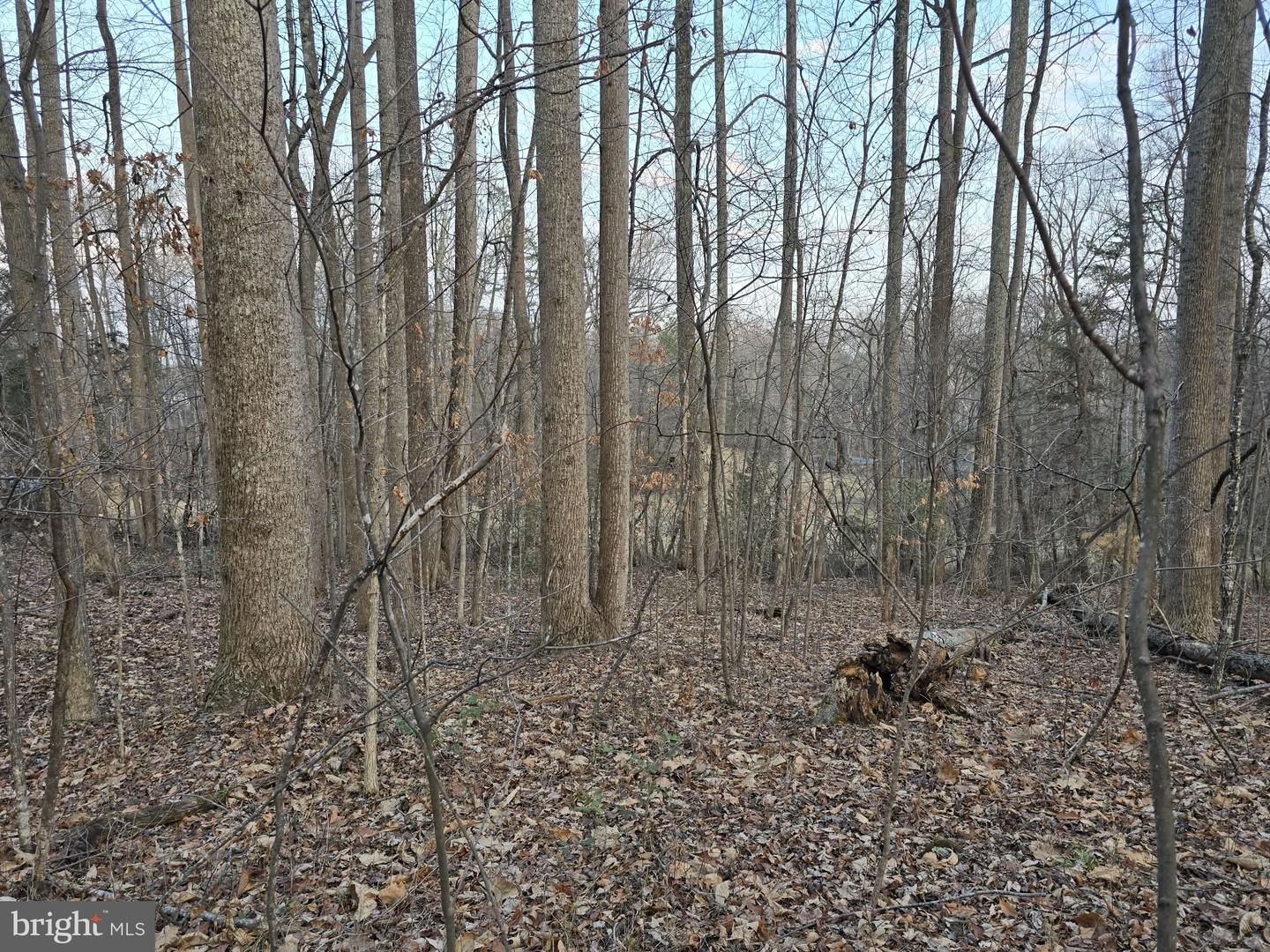 TM# 42-5 THOROUGHFARE RD, CULPEPER, Virginia 22701, ,Land,For sale,TM# 42-5 THOROUGHFARE RD,VAMA2002632 MLS # VAMA2002632