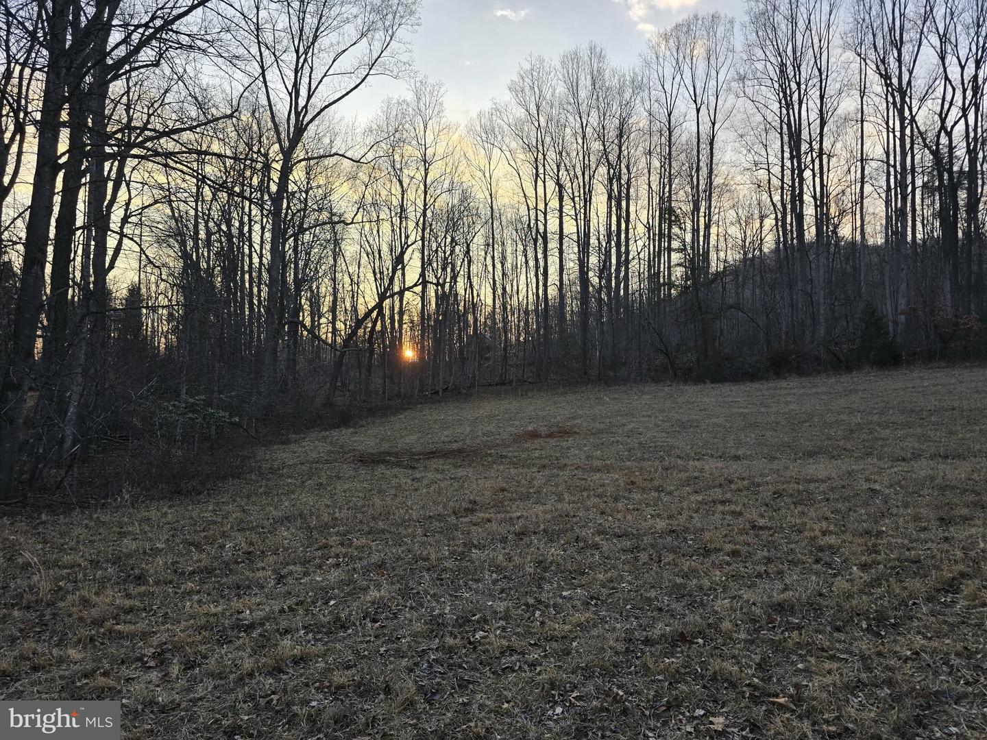 TM# 42-5 THOROUGHFARE RD, CULPEPER, Virginia 22701, ,Land,For sale,TM# 42-5 THOROUGHFARE RD,VAMA2002632 MLS # VAMA2002632