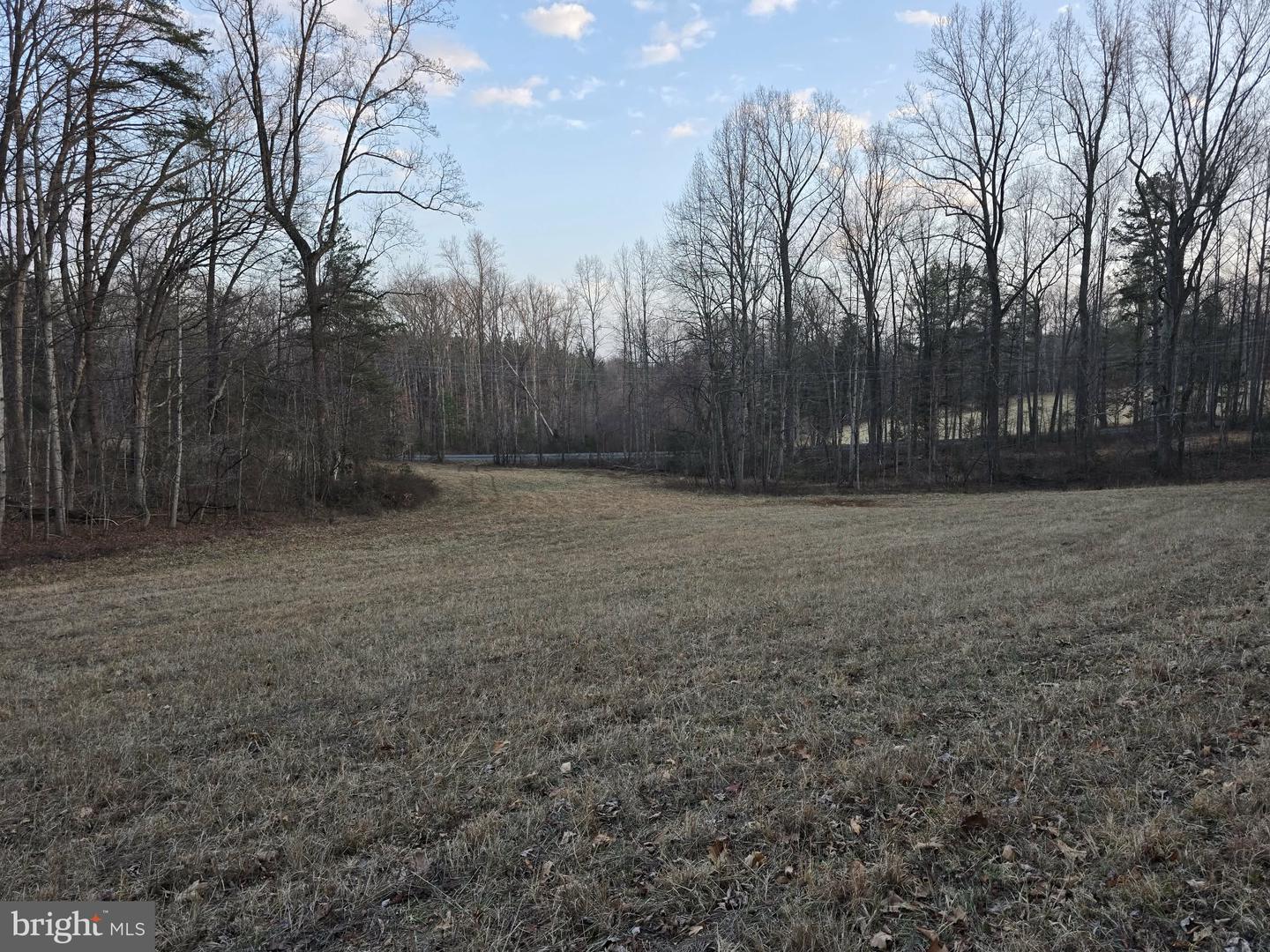 TM# 42-5 THOROUGHFARE RD, CULPEPER, Virginia 22701, ,Land,For sale,TM# 42-5 THOROUGHFARE RD,VAMA2002632 MLS # VAMA2002632