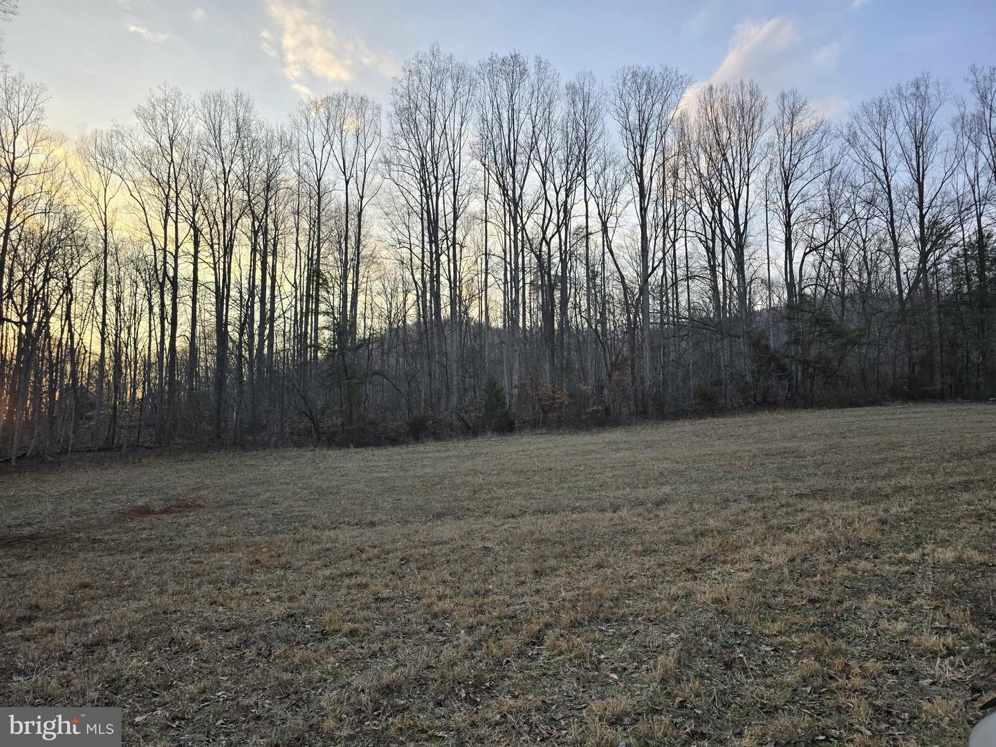 TM# 42-5 THOROUGHFARE RD, CULPEPER, Virginia 22701, ,Land,For sale,TM# 42-5 THOROUGHFARE RD,VAMA2002632 MLS # VAMA2002632