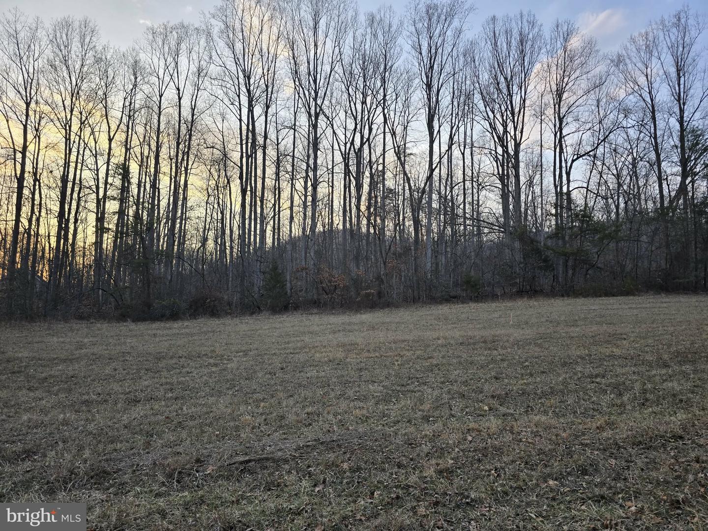 TM# 42-5 THOROUGHFARE RD, CULPEPER, Virginia 22701, ,Land,For sale,TM# 42-5 THOROUGHFARE RD,VAMA2002632 MLS # VAMA2002632