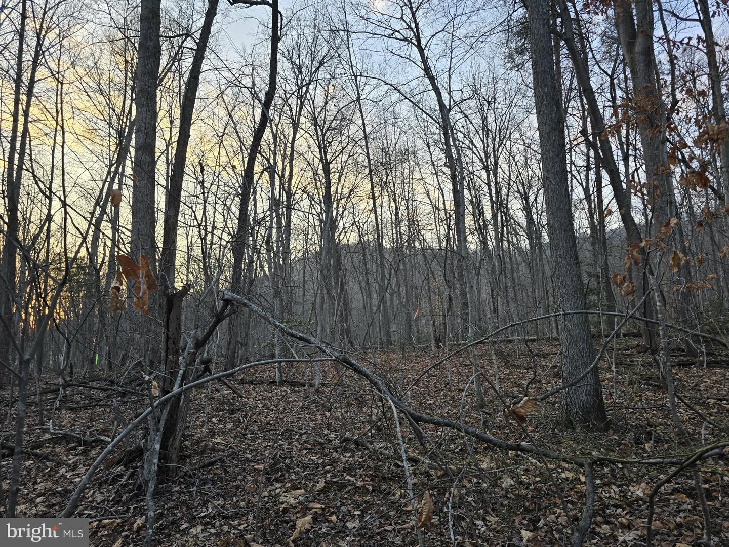 TM# 42-5 THOROUGHFARE RD, CULPEPER, Virginia 22701, ,Land,For sale,TM# 42-5 THOROUGHFARE RD,VAMA2002632 MLS # VAMA2002632