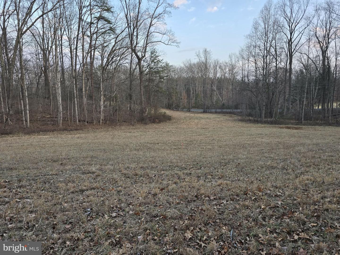 TM# 42-5 THOROUGHFARE RD, CULPEPER, Virginia 22701, ,Land,For sale,TM# 42-5 THOROUGHFARE RD,VAMA2002632 MLS # VAMA2002632