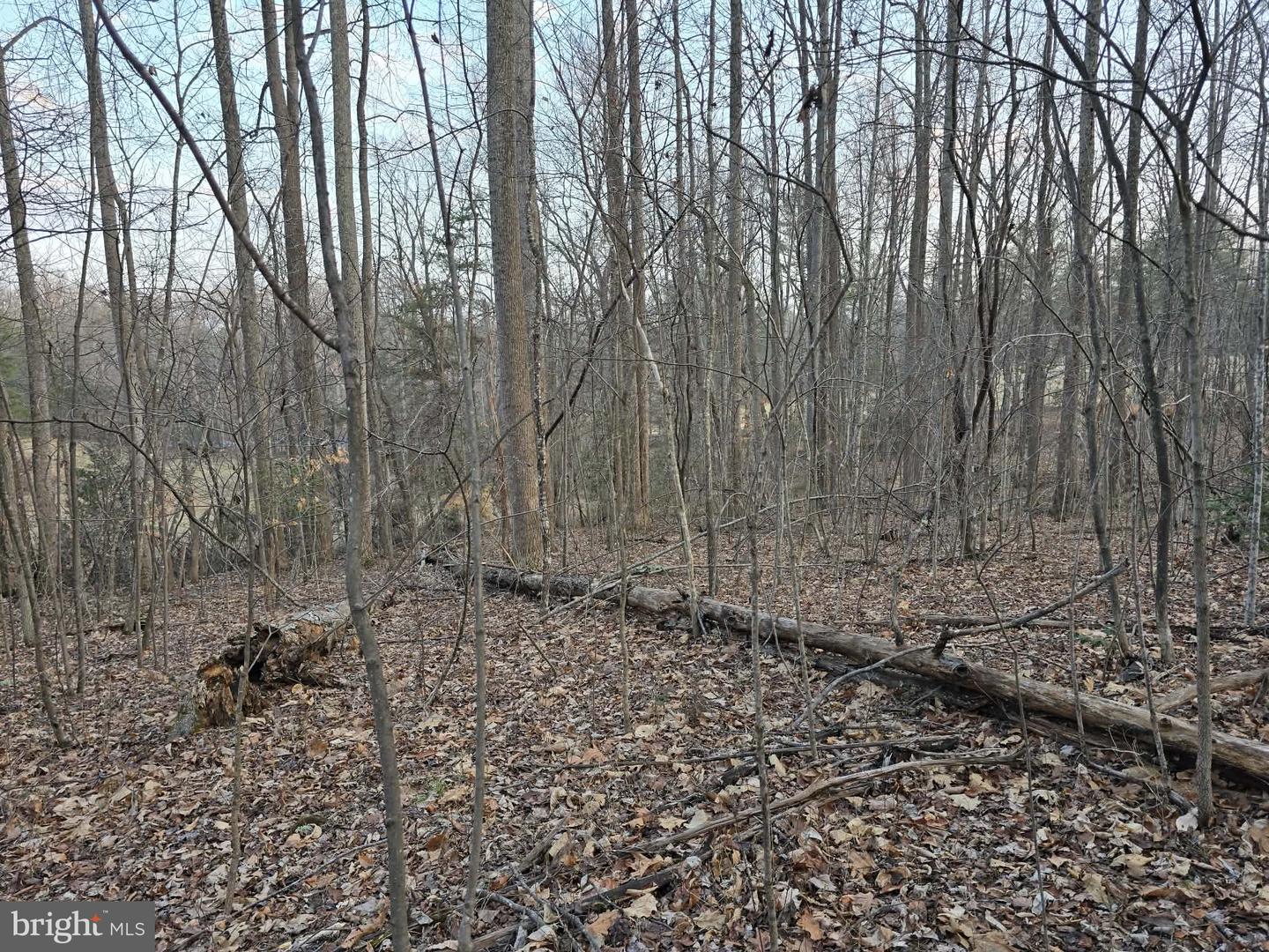 TM# 42-5 THOROUGHFARE RD, CULPEPER, Virginia 22701, ,Land,For sale,TM# 42-5 THOROUGHFARE RD,VAMA2002632 MLS # VAMA2002632