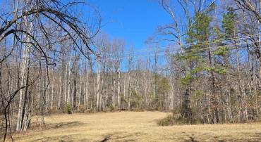 TM# 42-5 THOROUGHFARE RD, CULPEPER, Virginia 22701, ,Land,For sale,TM# 42-5 THOROUGHFARE RD,VAMA2002632 MLS # VAMA2002632