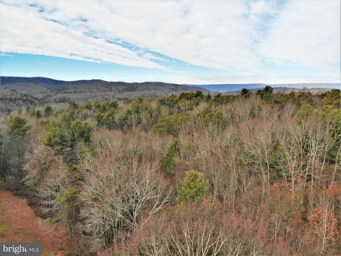 0 THAXTON ROAD, PULASKI, Virginia 24301, ,Land,For sale,0 THAXTON ROAD,VAPU2000050 MLS # VAPU2000050