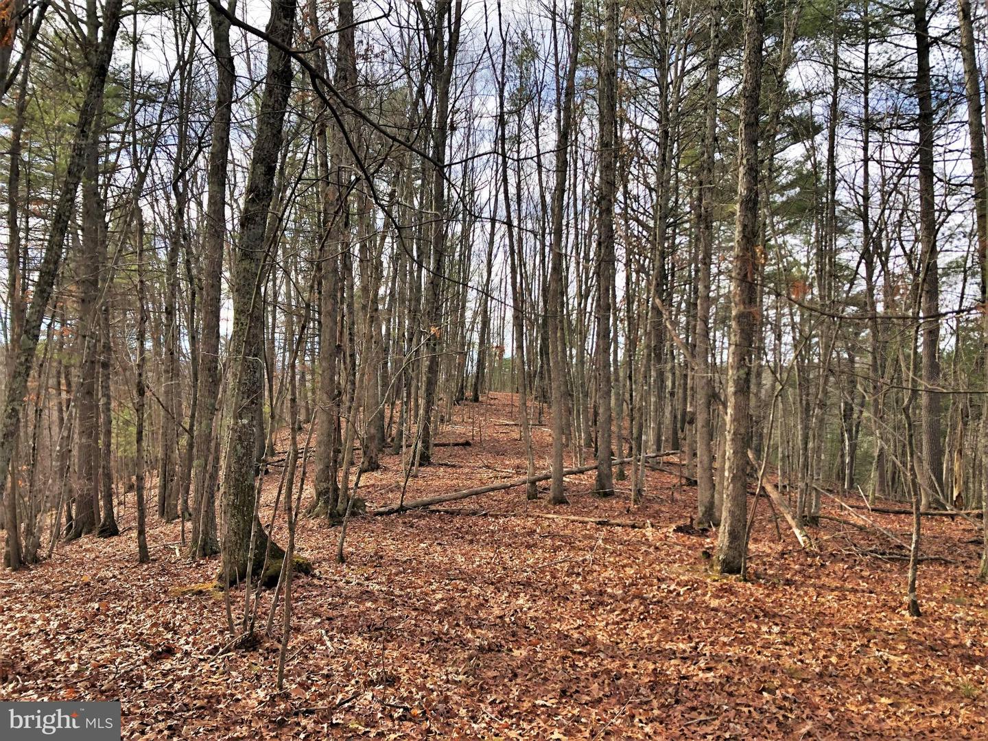 0 THAXTON ROAD, PULASKI, Virginia 24301, ,Land,For sale,0 THAXTON ROAD,VAPU2000050 MLS # VAPU2000050