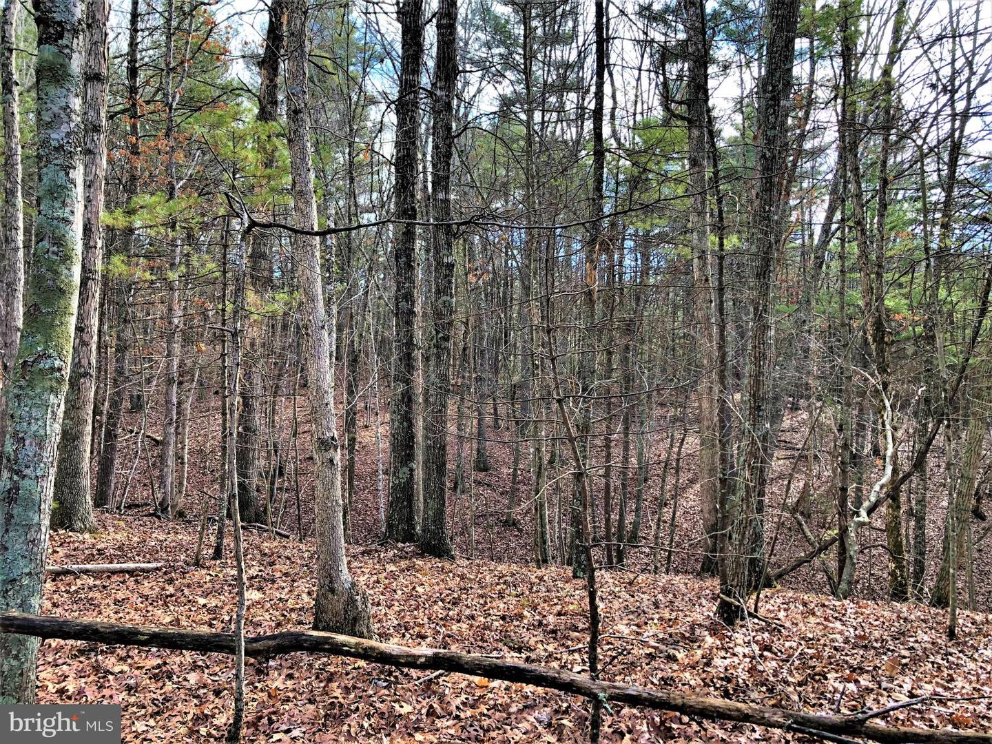 0 THAXTON ROAD, PULASKI, Virginia 24301, ,Land,For sale,0 THAXTON ROAD,VAPU2000050 MLS # VAPU2000050