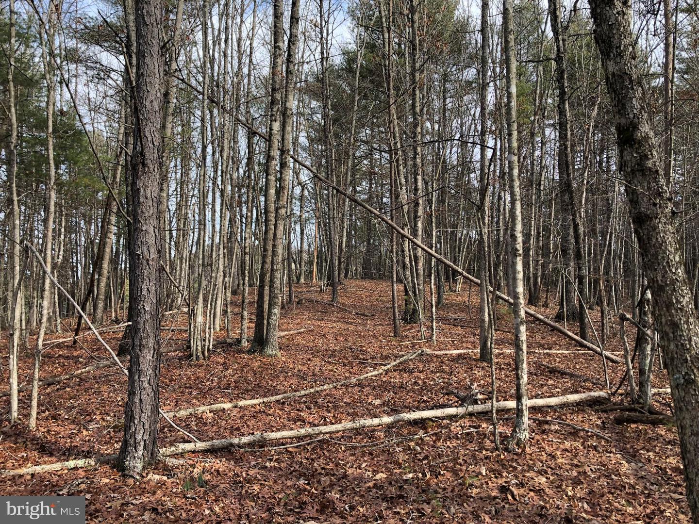 0 THAXTON ROAD, PULASKI, Virginia 24301, ,Land,For sale,0 THAXTON ROAD,VAPU2000050 MLS # VAPU2000050