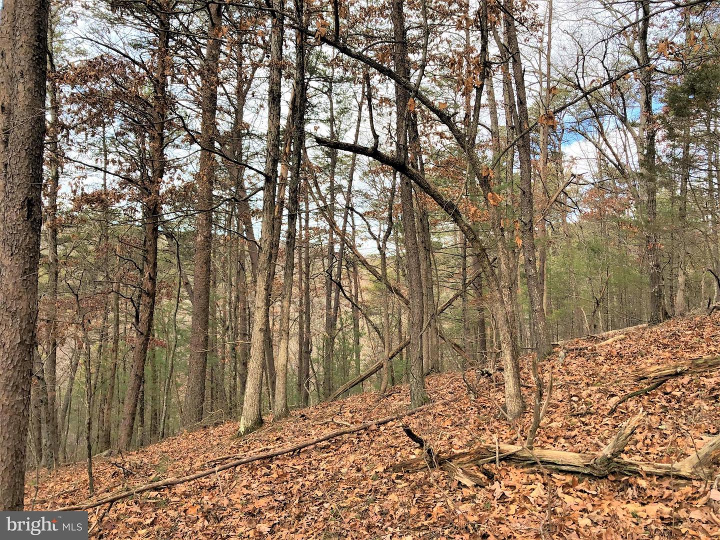 0 THAXTON ROAD, PULASKI, Virginia 24301, ,Land,For sale,0 THAXTON ROAD,VAPU2000050 MLS # VAPU2000050