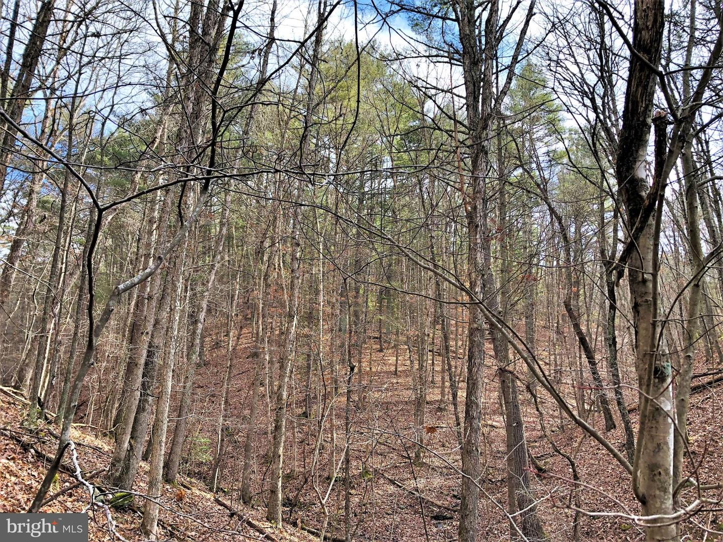 0 THAXTON ROAD, PULASKI, Virginia 24301, ,Land,For sale,0 THAXTON ROAD,VAPU2000050 MLS # VAPU2000050