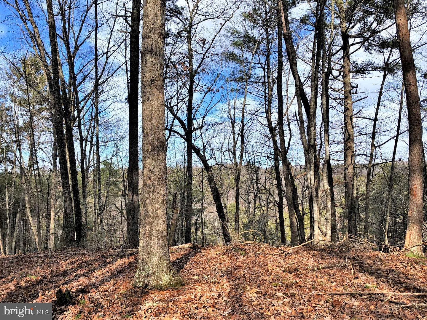 0 THAXTON ROAD, PULASKI, Virginia 24301, ,Land,For sale,0 THAXTON ROAD,VAPU2000050 MLS # VAPU2000050