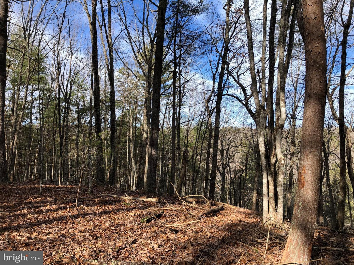 0 THAXTON ROAD, PULASKI, Virginia 24301, ,Land,For sale,0 THAXTON ROAD,VAPU2000050 MLS # VAPU2000050