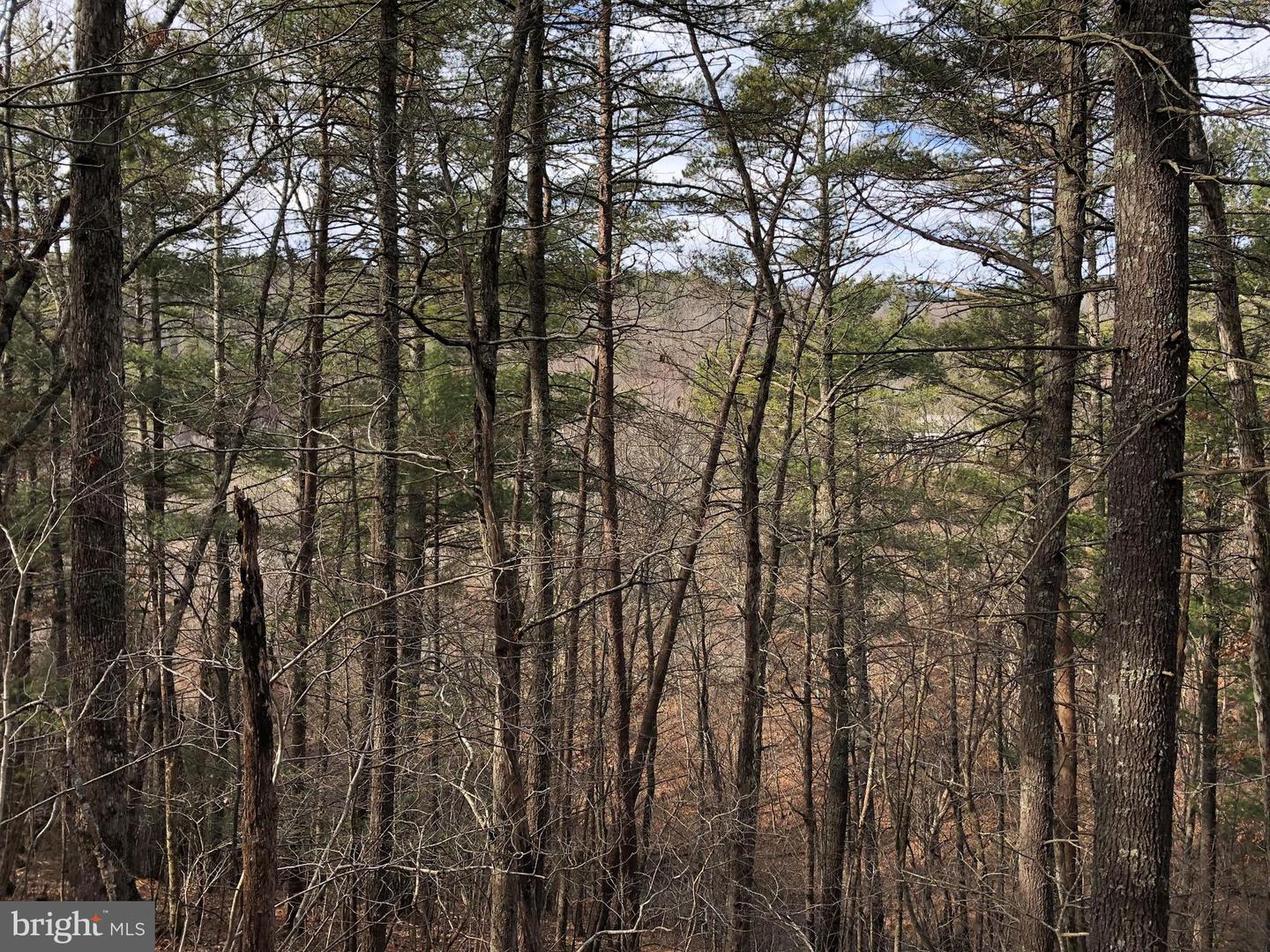 0 THAXTON ROAD, PULASKI, Virginia 24301, ,Land,For sale,0 THAXTON ROAD,VAPU2000050 MLS # VAPU2000050