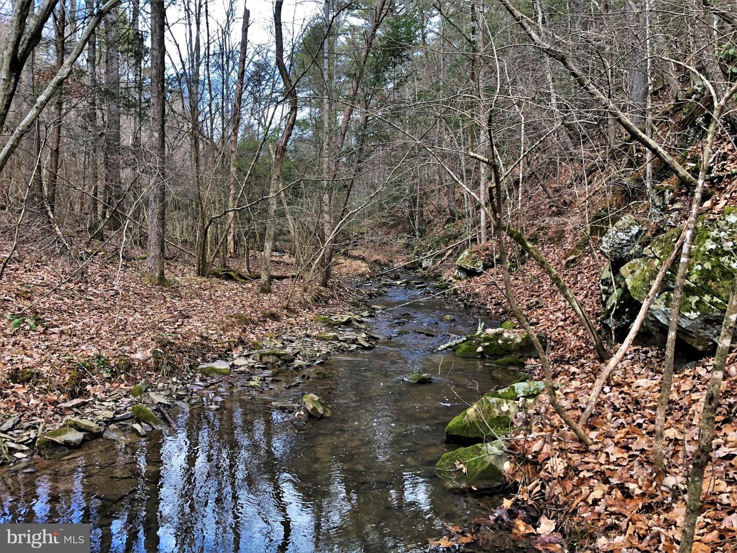 0 THAXTON ROAD, PULASKI, Virginia 24301, ,Land,For sale,0 THAXTON ROAD,VAPU2000050 MLS # VAPU2000050