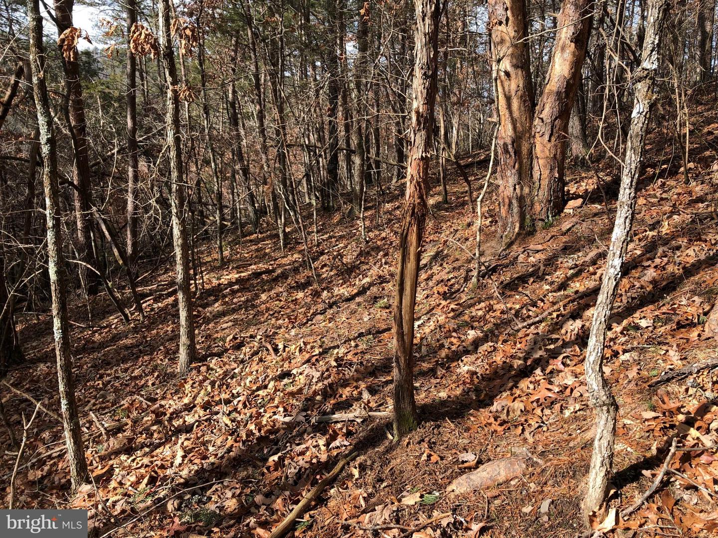 0 THAXTON ROAD, PULASKI, Virginia 24301, ,Land,For sale,0 THAXTON ROAD,VAPU2000050 MLS # VAPU2000050