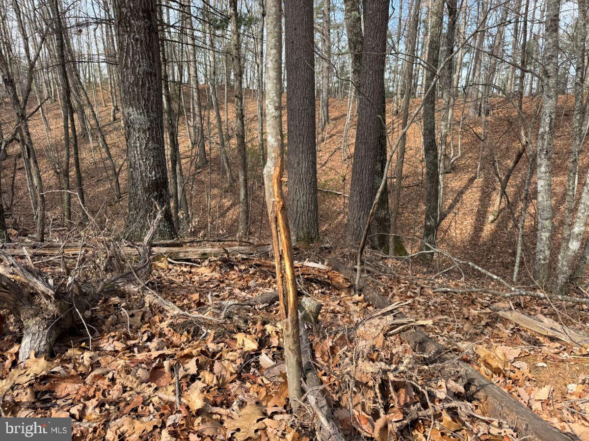 0 THAXTON ROAD, PULASKI, Virginia 24301, ,Land,For sale,0 THAXTON ROAD,VAPU2000050 MLS # VAPU2000050