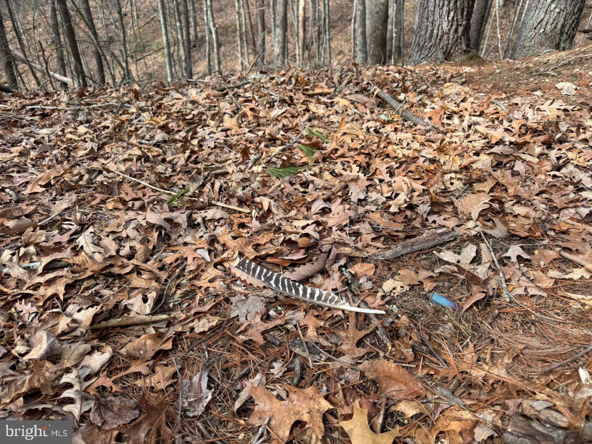 0 THAXTON ROAD, PULASKI, Virginia 24301, ,Land,For sale,0 THAXTON ROAD,VAPU2000050 MLS # VAPU2000050