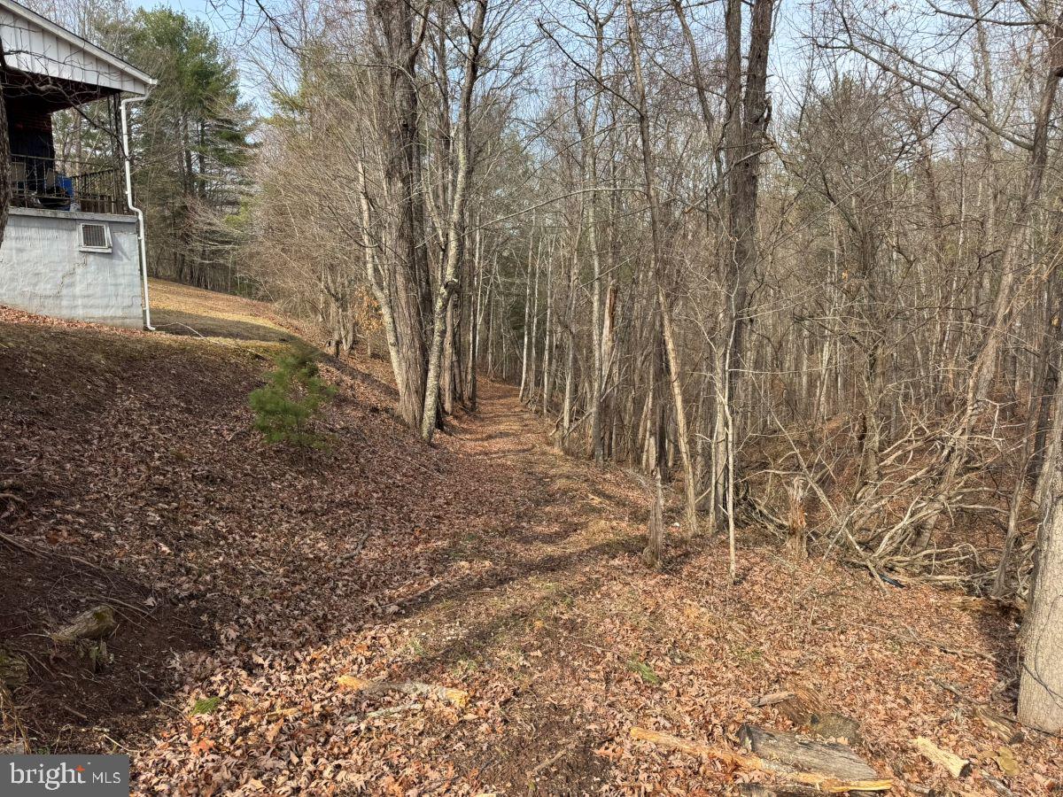 0 THAXTON ROAD, PULASKI, Virginia 24301, ,Land,For sale,0 THAXTON ROAD,VAPU2000050 MLS # VAPU2000050