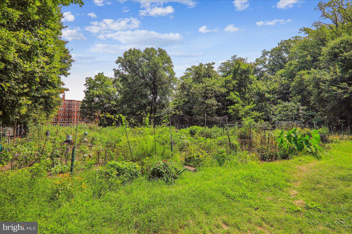 3041 SEDGWICK ST NW #301D, WASHINGTON, District Of Columbia 20008, 3 Bedrooms Bedrooms, ,2 BathroomsBathrooms,Residential,For sale,3041 SEDGWICK ST NW #301D,DCDC2248846 MLS # DCDC2248846