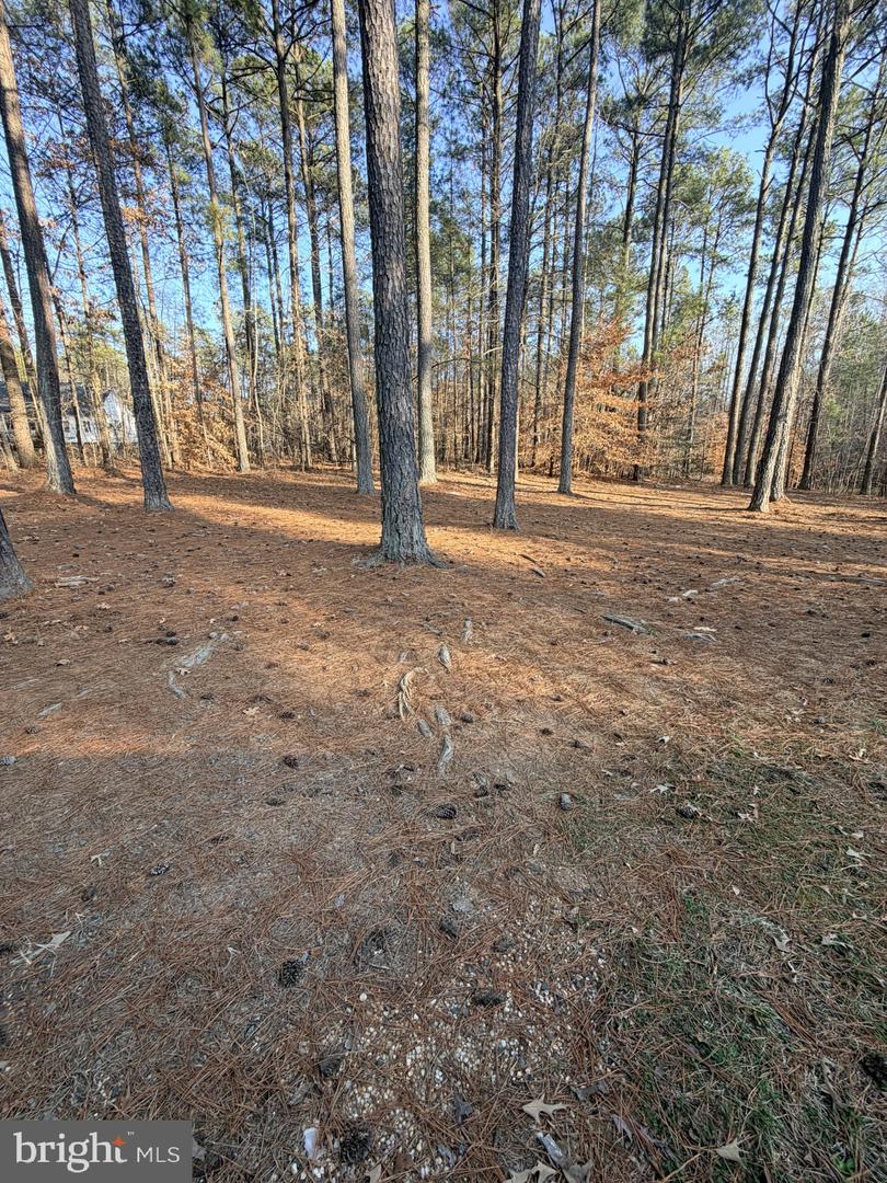 1109 EASTHAM RD, BUMPASS, Virginia 23024, 3 Bedrooms Bedrooms, ,2 BathroomsBathrooms,Residential,For sale,1109 EASTHAM RD,VALA2009418 MLS # VALA2009418