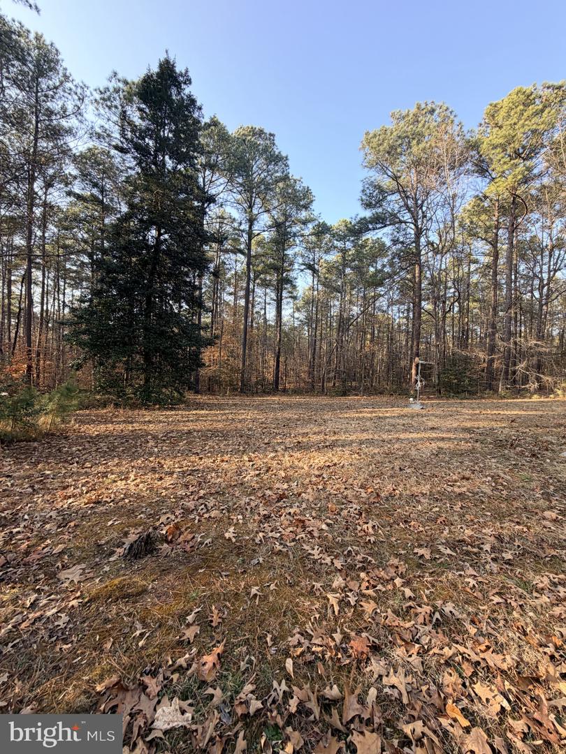 1109 EASTHAM RD, BUMPASS, Virginia 23024, 3 Bedrooms Bedrooms, ,2 BathroomsBathrooms,Residential,For sale,1109 EASTHAM RD,VALA2009418 MLS # VALA2009418