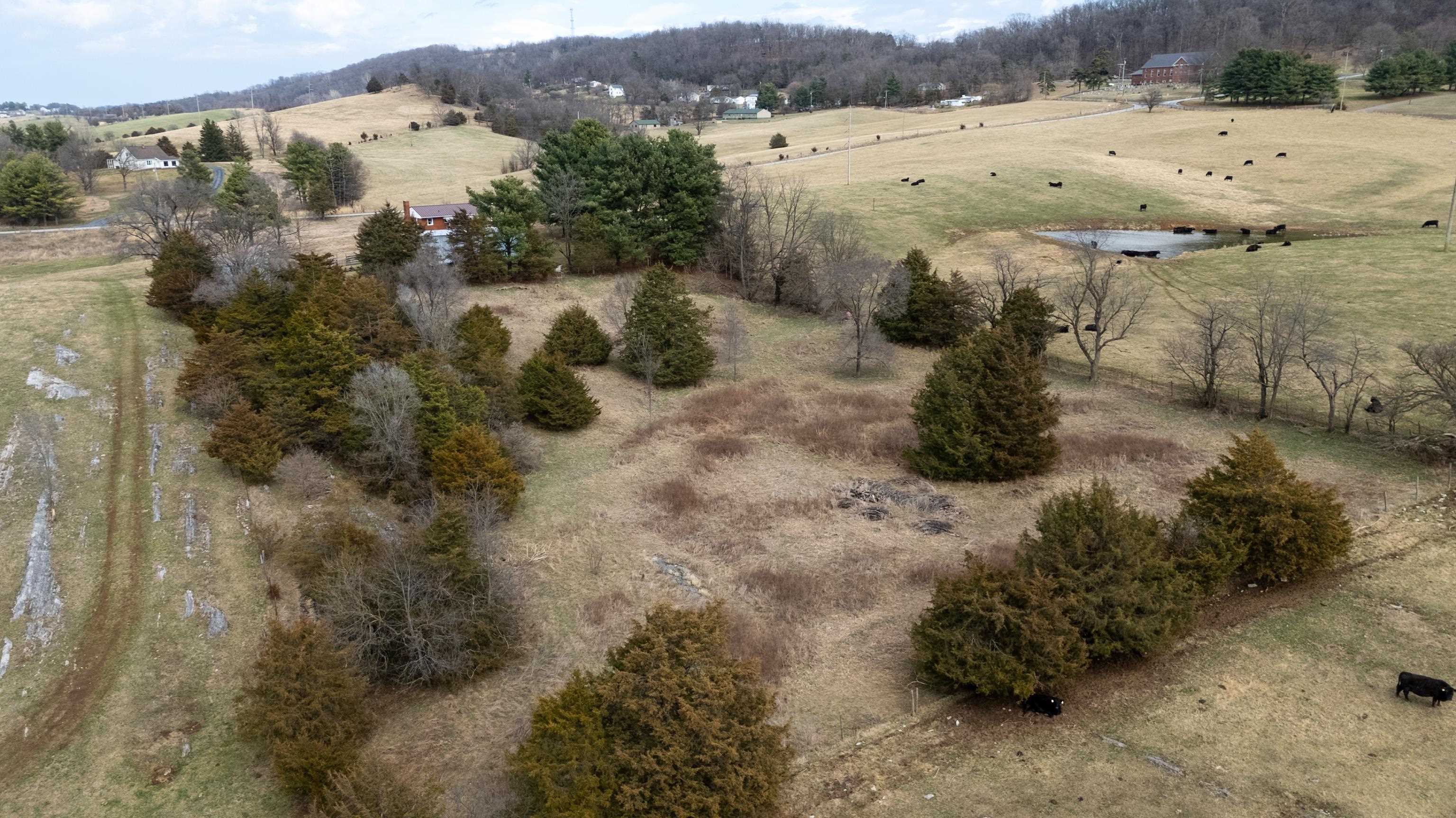 3493 ZION CHURCH RD, BROADWAY, Virginia 22815, 2 Bedrooms Bedrooms, ,1 BathroomBathrooms,Residential,3493 ZION CHURCH RD,674157 MLS # 674157