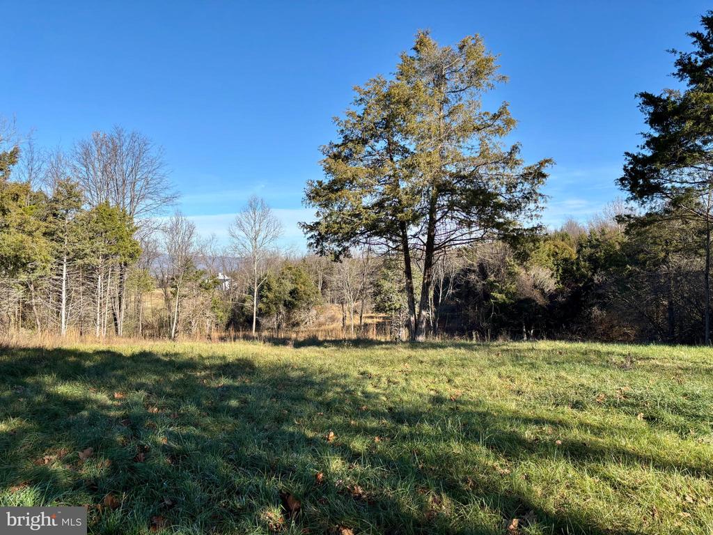 HARPER VALLEY RD, LURAY, Virginia 22835, ,Land,HARPER VALLEY RD,VAPA2005668 MLS # VAPA2005668