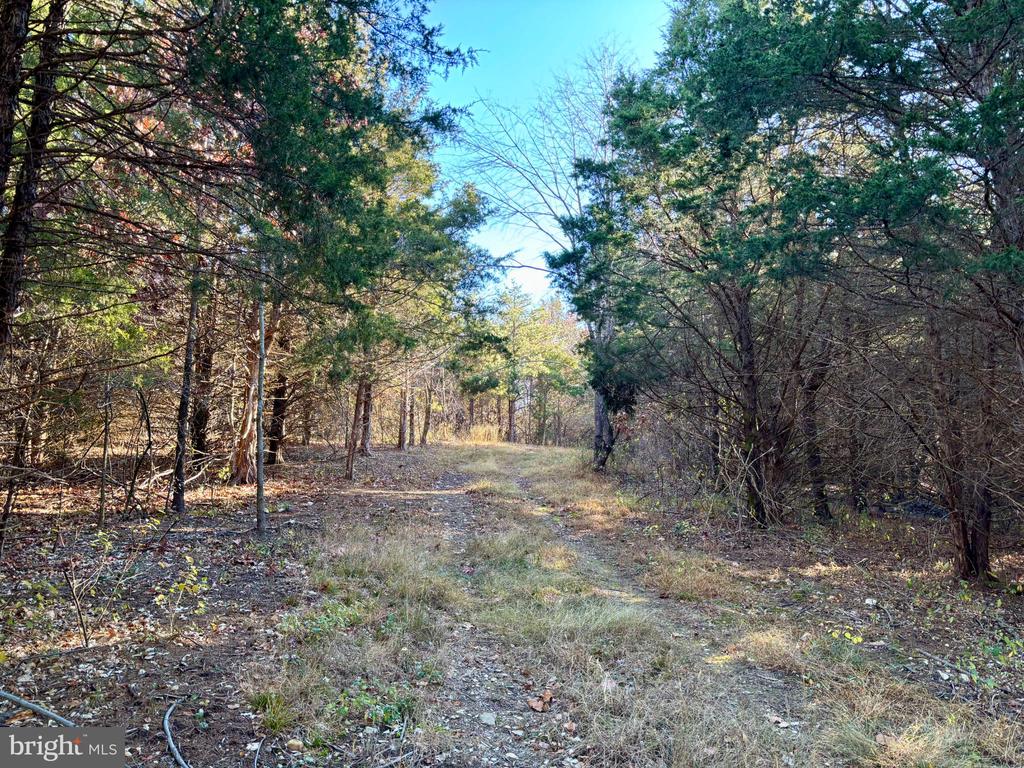 HARPER VALLEY RD, LURAY, Virginia 22835, ,Land,HARPER VALLEY RD,VAPA2005668 MLS # VAPA2005668