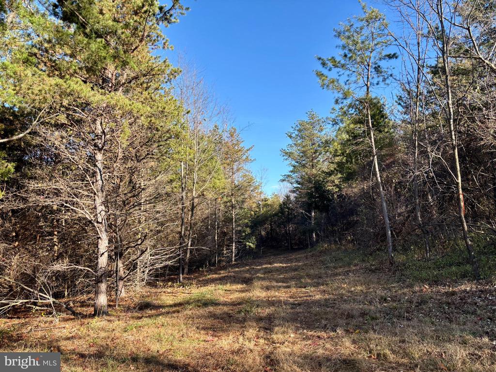 HARPER VALLEY RD, LURAY, Virginia 22835, ,Land,HARPER VALLEY RD,VAPA2005668 MLS # VAPA2005668