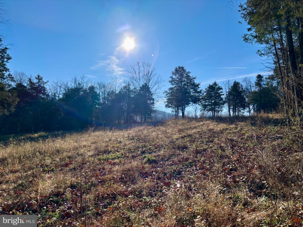 HARPER VALLEY RD, LURAY, Virginia 22835, ,Land,HARPER VALLEY RD,VAPA2005668 MLS # VAPA2005668
