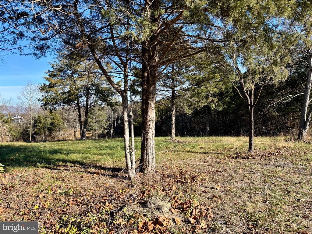 HARPER VALLEY RD, LURAY, Virginia 22835, ,Land,HARPER VALLEY RD,VAPA2005668 MLS # VAPA2005668