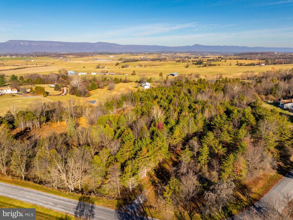 HARPER VALLEY RD, LURAY, Virginia 22835, ,Land,HARPER VALLEY RD,VAPA2005668 MLS # VAPA2005668