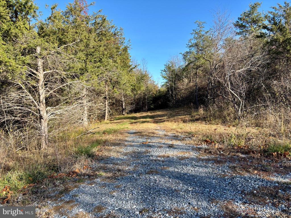 HARPER VALLEY RD, LURAY, Virginia 22835, ,Land,HARPER VALLEY RD,VAPA2005668 MLS # VAPA2005668