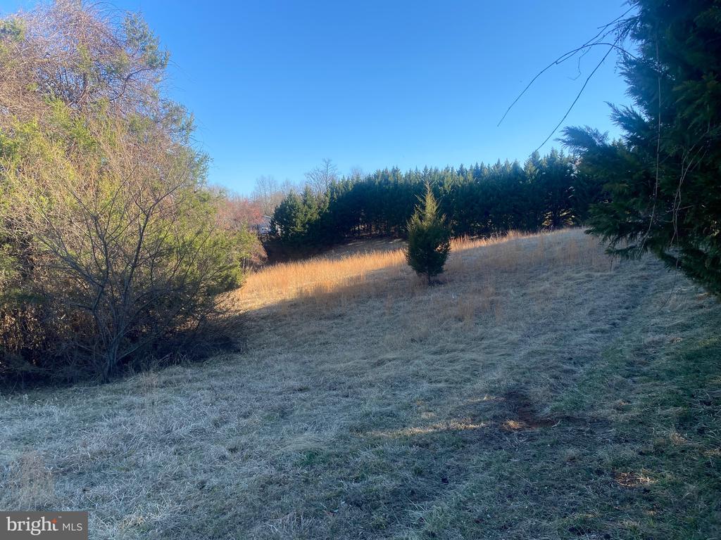 WOODWARD LN, RIXEYVILLE, Virginia 22737, ,Land,WOODWARD LN,VACU2012876 MLS # VACU2012876