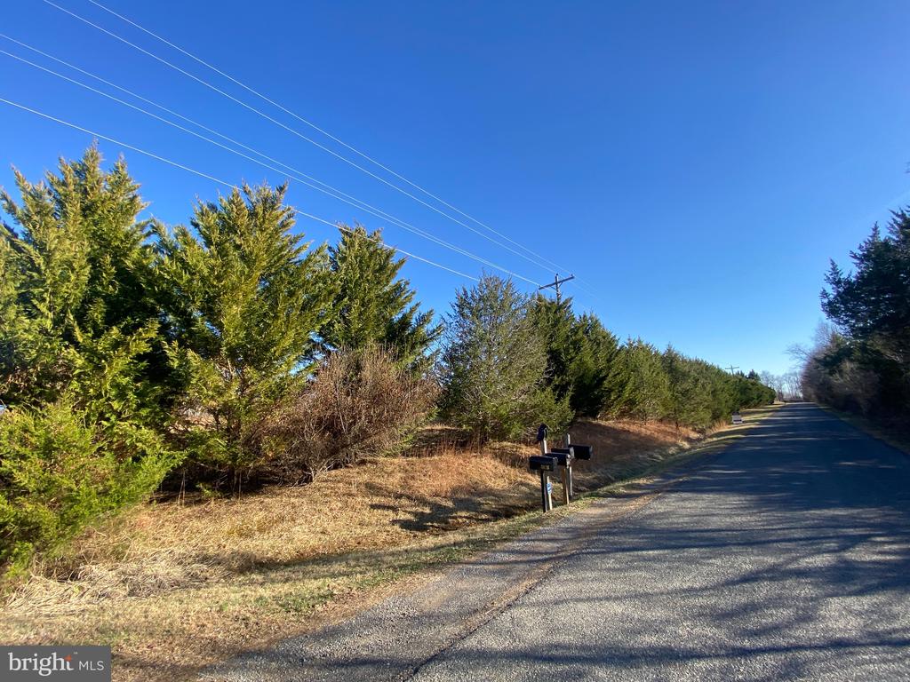 WOODWARD LN, RIXEYVILLE, Virginia 22737, ,Land,WOODWARD LN,VACU2012876 MLS # VACU2012876