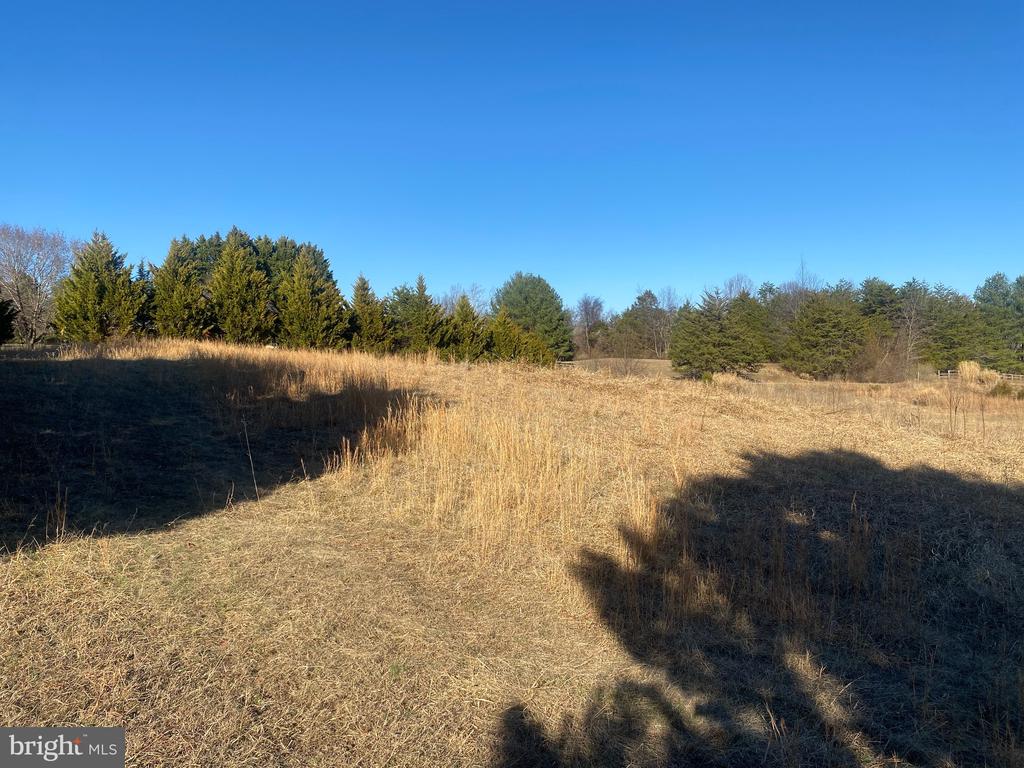 WOODWARD LN, RIXEYVILLE, Virginia 22737, ,Land,WOODWARD LN,VACU2012876 MLS # VACU2012876