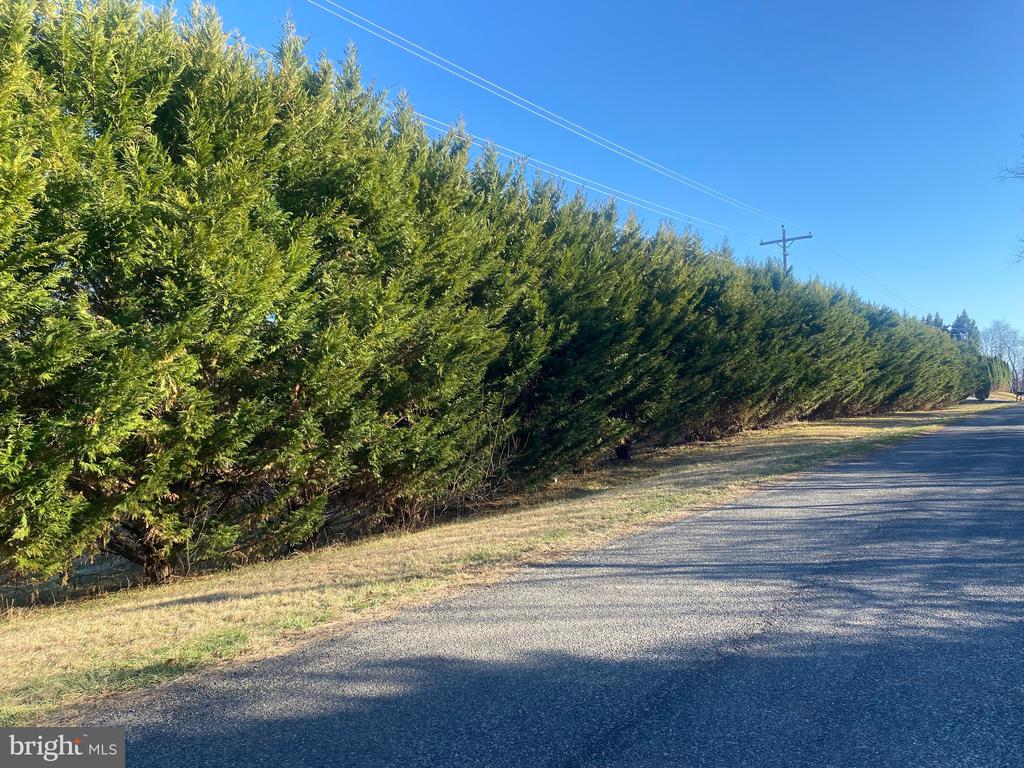 WOODWARD LN, RIXEYVILLE, Virginia 22737, ,Land,WOODWARD LN,VACU2012876 MLS # VACU2012876