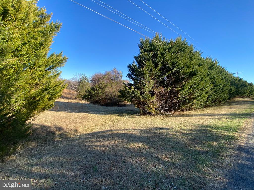 WOODWARD LN, RIXEYVILLE, Virginia 22737, ,Land,WOODWARD LN,VACU2012876 MLS # VACU2012876