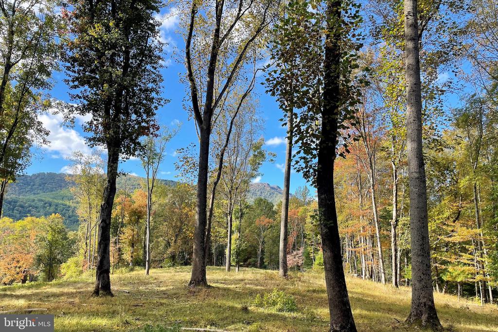 0 PINE HILL, SPERRYVILLE, Virginia 22740, ,Land,0 PINE HILL,VAMA2002636 MLS # VAMA2002636