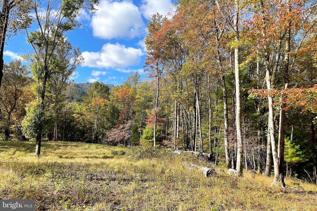 0 PINE HILL, SPERRYVILLE, Virginia 22740, ,Land,0 PINE HILL,VAMA2002636 MLS # VAMA2002636