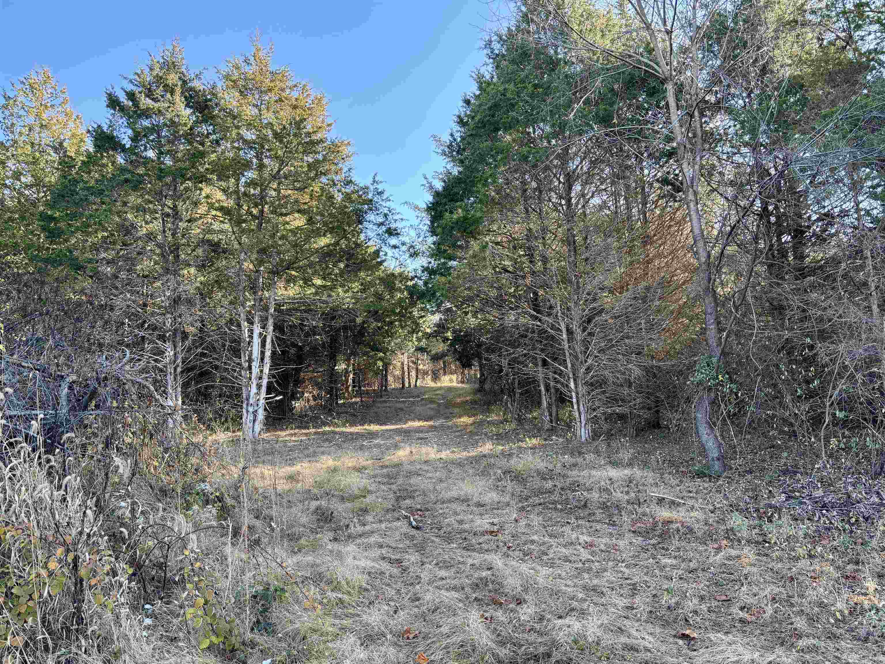 HARPER VALLEY RD, LURAY, Virginia 22835, ,Land,HARPER VALLEY RD,671525 MLS # 671525