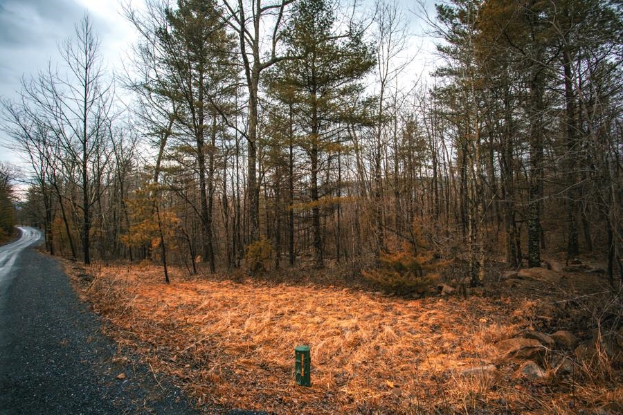 Lot 47 FETTERBUSH LN, HINTON, Virginia 22831, ,Land,Lot 47 Highlands of Rawley Springs,Lot 47 FETTERBUSH LN,674179 MLS # 674179