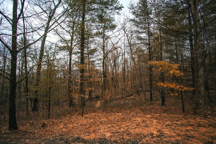 Lot 47 FETTERBUSH LN, HINTON, Virginia 22831, ,Land,Lot 47 Highlands of Rawley Springs,Lot 47 FETTERBUSH LN,674179 MLS # 674179