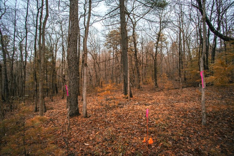 Lot 47 FETTERBUSH LN, HINTON, Virginia 22831, ,Land,Lot 47 Highlands of Rawley Springs,Lot 47 FETTERBUSH LN,674179 MLS # 674179