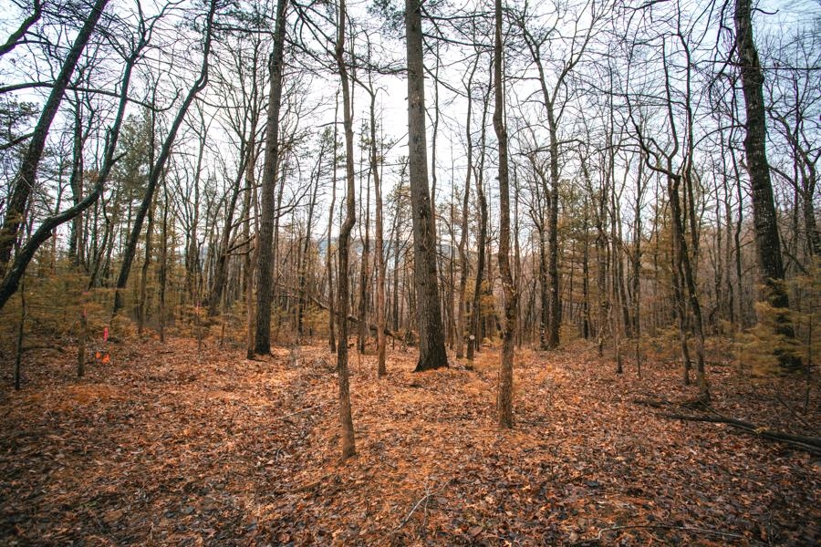 Lot 47 FETTERBUSH LN, HINTON, Virginia 22831, ,Land,Lot 47 Highlands of Rawley Springs,Lot 47 FETTERBUSH LN,674179 MLS # 674179